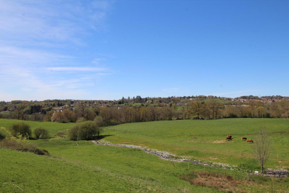 Chez Le Bayle Villa Condat-sur-Vienne Buitenkant foto
